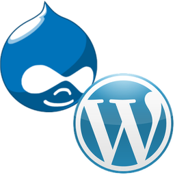 Drupal and Wordpress development for companies in Jamestown, Rochester, Buffalo and rest of America