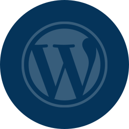 Wordpress web development