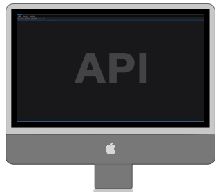 Application Programming Interfaces